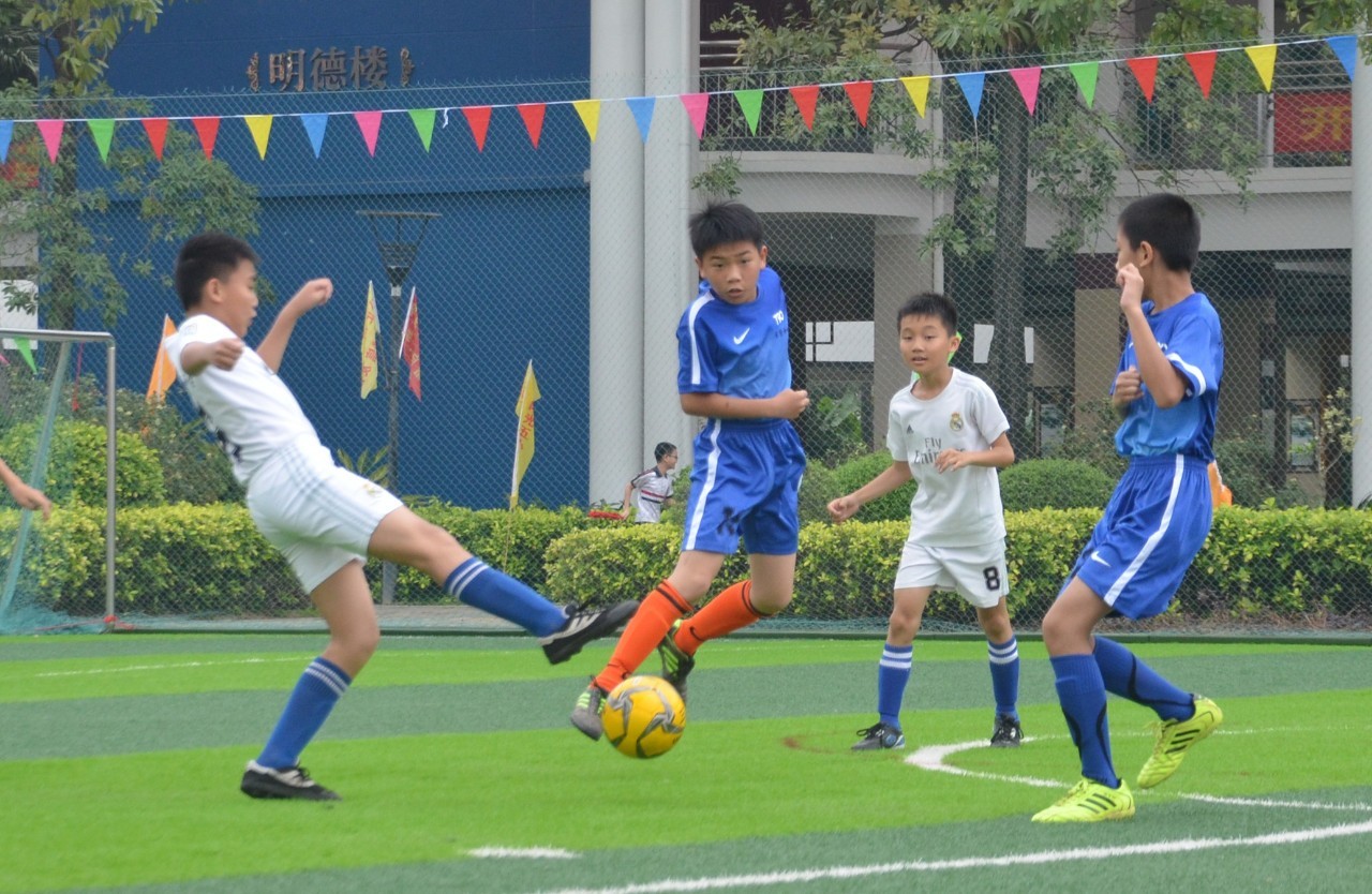 纽卡的锋线 纽卡的锋线